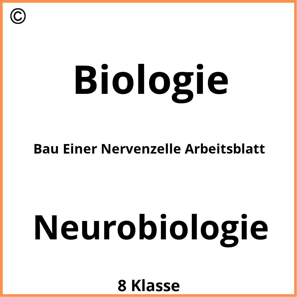 Bau Einer Nervenzelle Arbeitsblatt Lösung