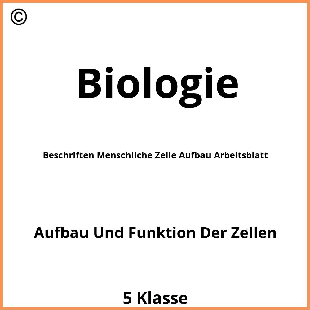 Beschriften Menschliche Zelle Aufbau Arbeitsblatt