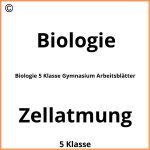 Biologie 5 Klasse Gymnasium Arbeitsblätter