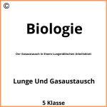 Der Gasaustausch In Einem Lungenbläschen Arbeitsblatt Lösung