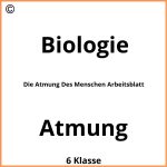 Die Atmung Des Menschen Arbeitsblatt