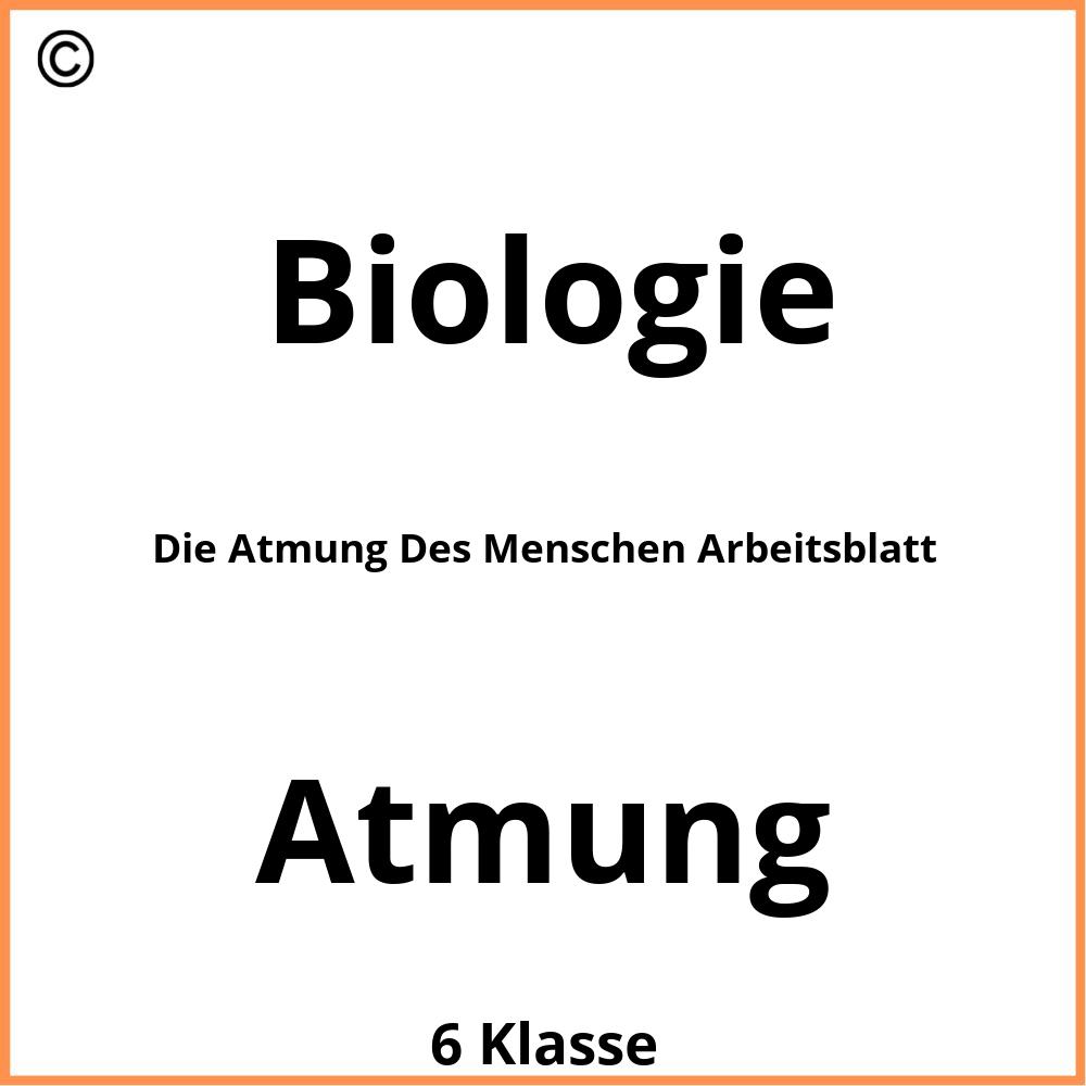 Die Atmung Des Menschen Arbeitsblatt