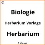 Herbarium Vorlage Zum Ausdrucken Pdf