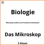 Mikroskop Aufbau Und Funktion Arbeitsblatt