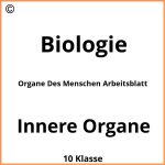 Organe Des Menschen Arbeitsblatt Pdf