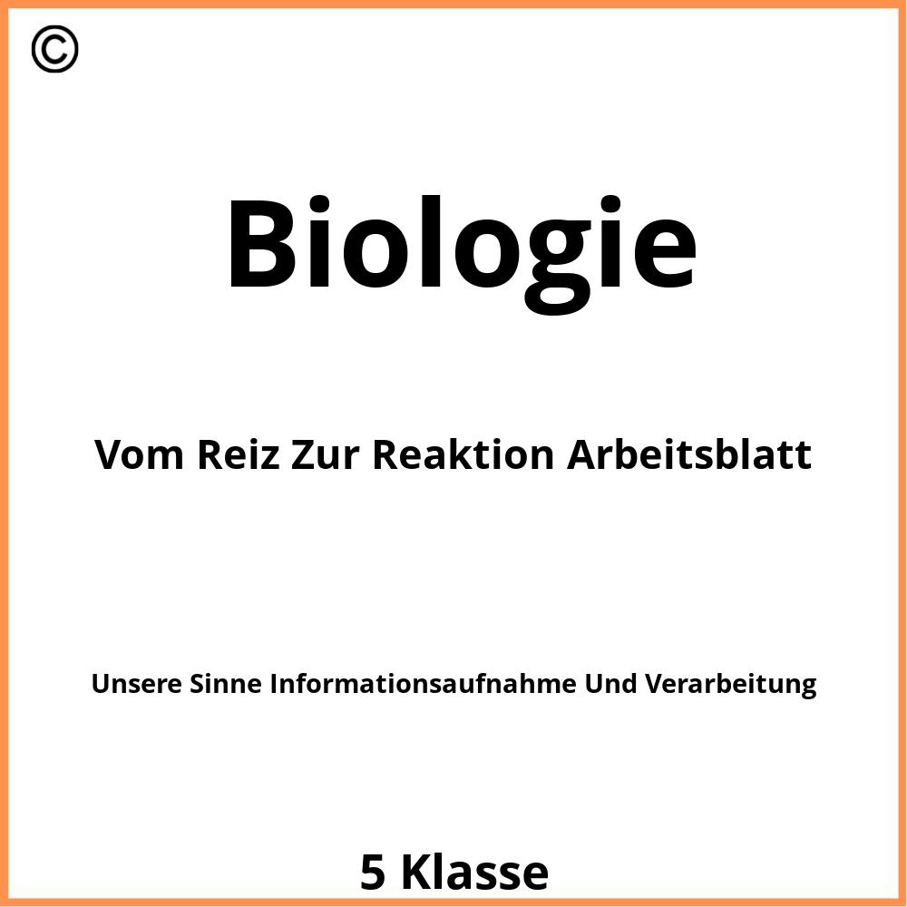 Vom Reiz Zur Reaktion Arbeitsblatt